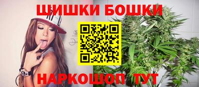индика Краснознаменск