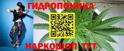 ГАЛЛЮЦИНОГЕННЫЕ ГРИБЫ Краснокаменск