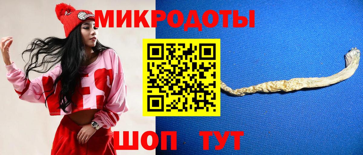 Галлюциногенные грибы Psilocybe Когалым